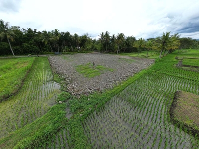 Tanah SHM di Kulonprogo, Belakang Kelurahan Tawangsari