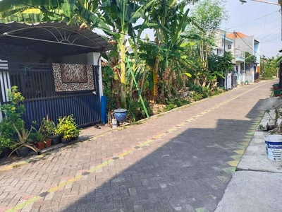 Tanah Viral Murah Wonorejo Surabaya Timur
