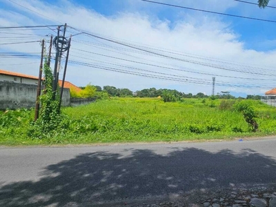 Disewakan tanah komersil view sawah pererenan