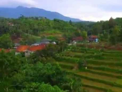 11 Ha Sawah Dekat Sungai U Pemancingan Cikeris Bojong Purwakarta