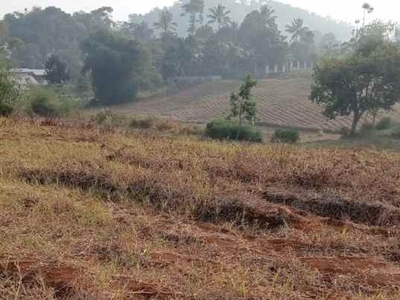 12 Ha Tanah Kebun Datar Pinggirsari Arjasari Kab Bandung