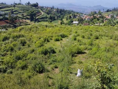 14 Ha Kebun View Indah Perbukitan Pakuhaji Ngamprah Bandung Barat