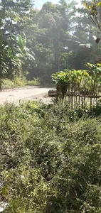 15 Ha Tanah Kebun Murah Mata Air Cisomang Barat Cikalong Wetan