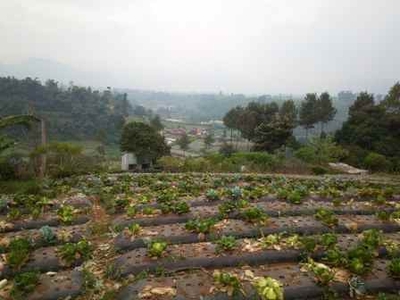 25 Ha Tanah Bukit View Indah Langensari Lembang Bandung Barat