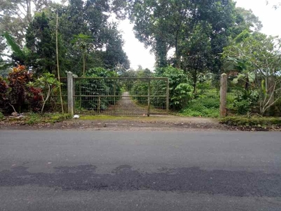 27710 M2 Tanah Kebun Strategis Pinggir Jalan Raya Kasomalang Subang