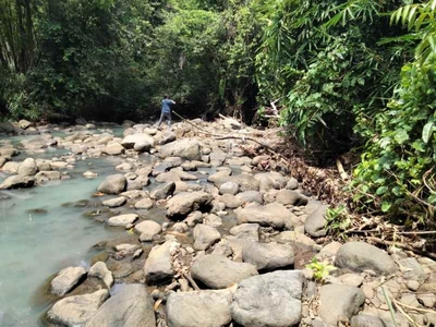 4000 M2 Tanah Loss Sungai View Lautsawah Di Selemadeg Tabanan Bali