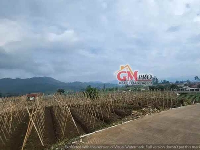 749 Tanah Matang Dengan Udara Sejuk Di Ciwidey - Bandung