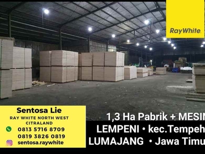 Dijual 13 Ha Pabrik Di Lumajang Jatim Plus Mesin Forklift Genset