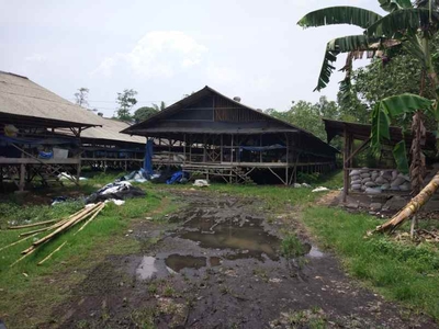 Dijual Cepat Tanah Ex Kandang Ayam Di Setu Bekasi Dekat Pintu Toll