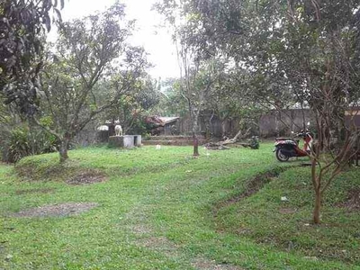 Dijual Kebun Durian Dan Villa 4800 M2 Di Pinggir Jalan Raya Sukabumi