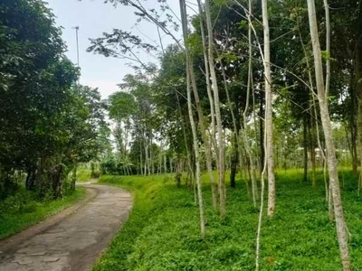 Dijual Murah Tanah Dekat Sarana Umum Di Bojong Purwakarta