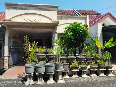 Dijual Rumah 15 Lantai Asri Griya Babatan Mukti Dekat Unesa