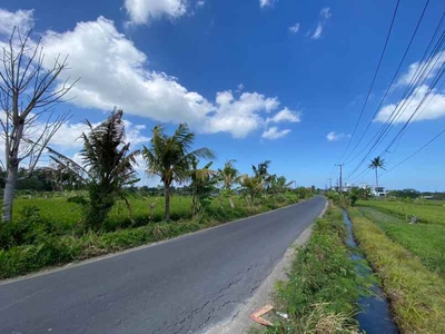 Dijual Tanah 500 M2 Jl Pantai Nyanyi Beraban Tabanan Bali