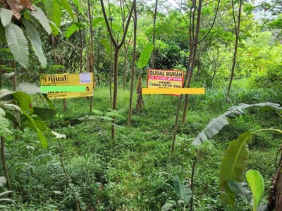 Dijual Tanah Jalan Merbabu Karang Tengah Gunung Puyuhkota Sukabumi