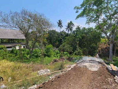Dijual Tanah Komersil Los Sungai Lokasi Nyanyi Tabanan