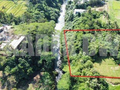 Dijual Tanah Murah Los Sungai Lodtunduh Ubud