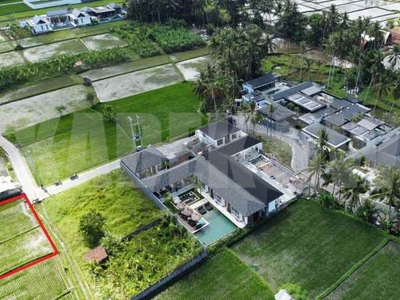 Dijual Tanah Murah Peliatan Ubud Lingkungan Villa Dan Hotel