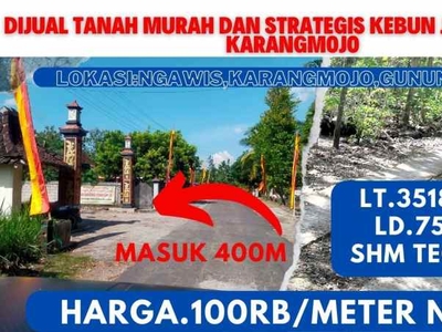 Dijual Tanah Murah Strategis Kebun Jati Di Karangmojo Gunungkidul