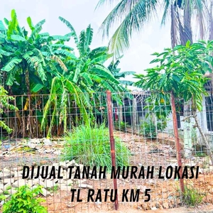 Dijual Tanah Pinggir Jalan Anggrek Tl Ratu Km5