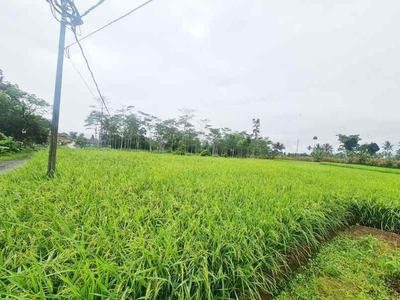 Dijual Tanah Sawah 2 Petak Di Caringin Sukabumi Dekat Smpn 1 Caringin