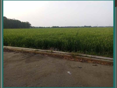 Dijual Tanah Sawah Di Baturaden Karawang Cocok Buat Investasi