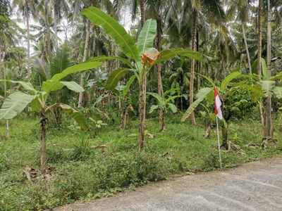 Dijual Tanah Shm Murah Di Kulonprogo Cocok Untuk Perumahan