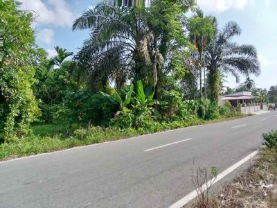 Dijual Tanah Strategis Di Daerah Tanjung Basungbatang Anai