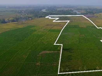 Dijual Tanah Super Luas Yang Cocok Untuk Investasi Di Bekasi