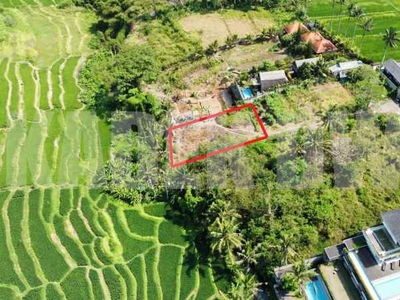 Dijual Tanah Ubud Los Sungai View Sawah Lingkungan Villa