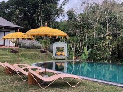 Dijual Villa View Sungai Jungle Lokasi Payangan