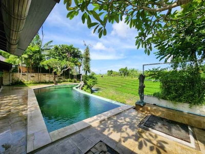 Do 182- For Sale Villa With Rice Fields View Di Berawa Canggu Bali
