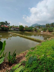 Empang Luas Di Rumpin Bogor Barat