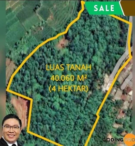 For Sale Dijual Tanah Luas 4ha Daerah Puncakcianjurjawa Barat