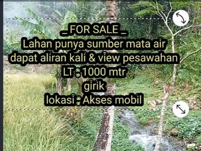 For Sale Lahan Punya Mata Air Dekat Kali Subang Jawa Barat