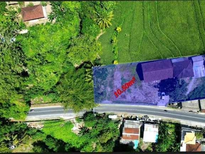 Gry 263- Dijual Tanah View Sawah Los Sungai Di Pantai Kedungu Bali