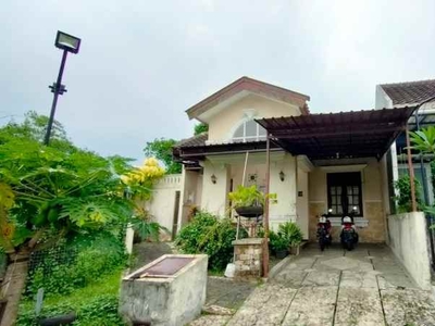 Jual Cepat Rumah Di Gadang Regency Malang