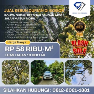 Jual Kebun Durian Sudah Berbuah Di Bogor