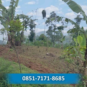 Jual Kebun Murah Ciwidey Bandung