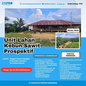 Jual Tanah Cocok Peruntukan Pabrik Kelapa Sawit Ataupun Perkebunan