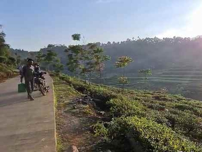 Jual Tanah Cocok Untuk Villa Di Bandung Barat View Gunung