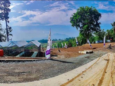 Jual Tanah Murah Pinggir Jalan Free Shm Di Cariu Bogor