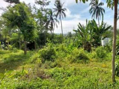 Jual Tanah Sangat Luas Di Candirejo Kabupaten Semarang
