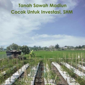 Jual Tanah Sawah Dekat Irigasi Rejomulyo