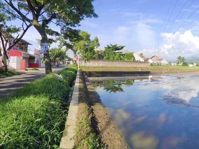 Jual Tanah Sawah Murah Produktif Dan Strategis Cianjur