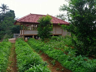 Jual Villa Kebun Air Mengalir Udara Dingin