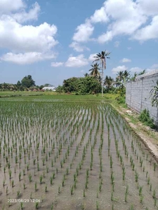 Land For Leasehold In Lodtunduh Ubud With Rice Fields View