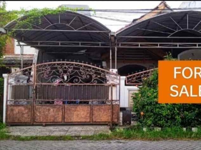 Panjang Jiwo Hitung Tanah 9 Jt-an Dekat Ubaya Transmart Rungkut