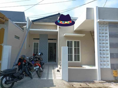 Rumah 1 Lantai Siap Huni Di Sawojajar