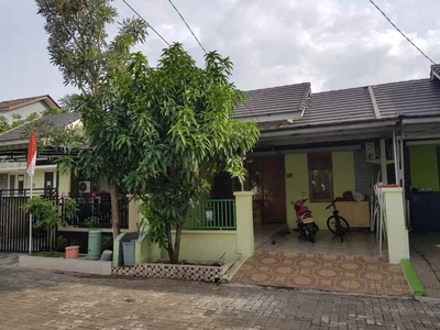 Rumah 3 Kamar Murah Di Talaga Bestari Tangerang Cluster Harmony