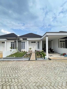 Rumah Cluster Best Seller Di Daerah Panam